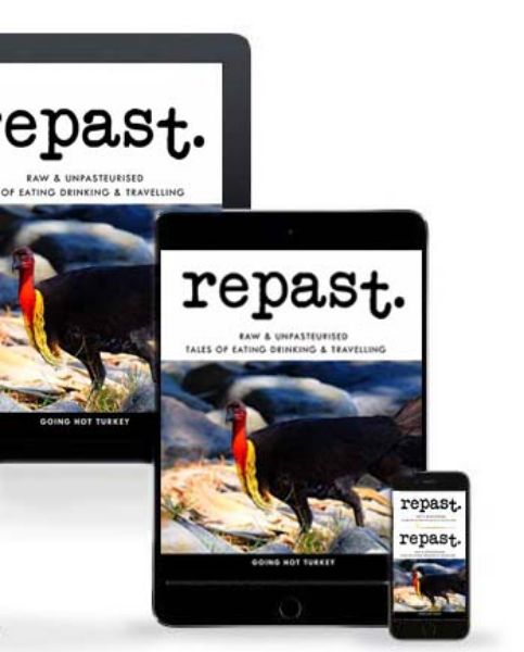 Picture of repast Digital Subscription - 4 Editions
